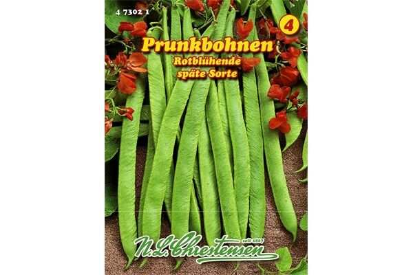  Saatgut Prunkbohnen, Rotblühende, späte