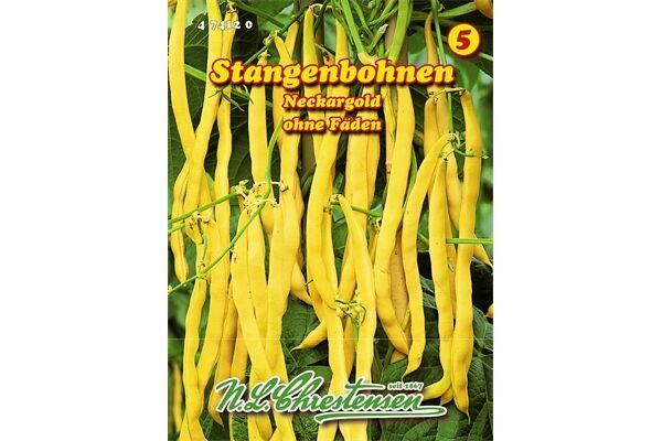  Saatgut Stangenbohnen Neckargold ertragreich,