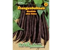 Saatgut Stangenbohnen Blauhilde, ohne Fäden, für ca. 15 Stangen