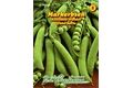  Saatgut Markerbsen Kelvedon Wonder, frühe Sorte,