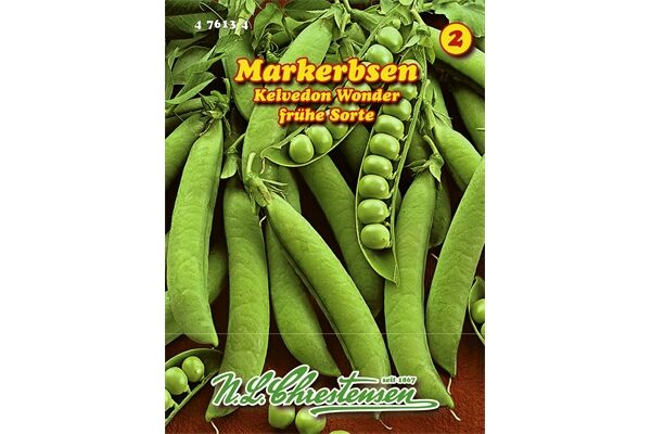  Saatgut Markerbsen Kelvedon Wonder, frühe Sorte,