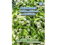 Saatgut Bärlauch Gewürzkraut mehrjährig für ca. 30 Pflanzen