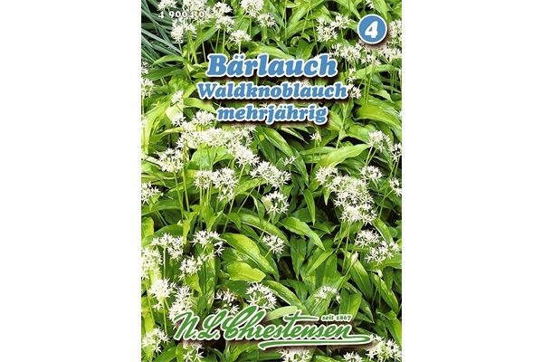  Saatgut Bärlauch Gewürzkraut mehrjährig