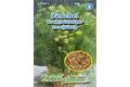  Saatgut Fenchel Großfrüchtiger, zweijährig,