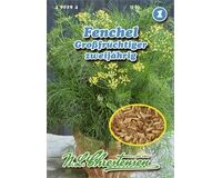 Saatgut Fenchel Großfrüchtiger, zweijährig, für 120 Pflanzen