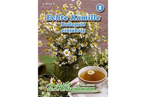  Saatgut Kamille, Bodegold, Heilpflanze