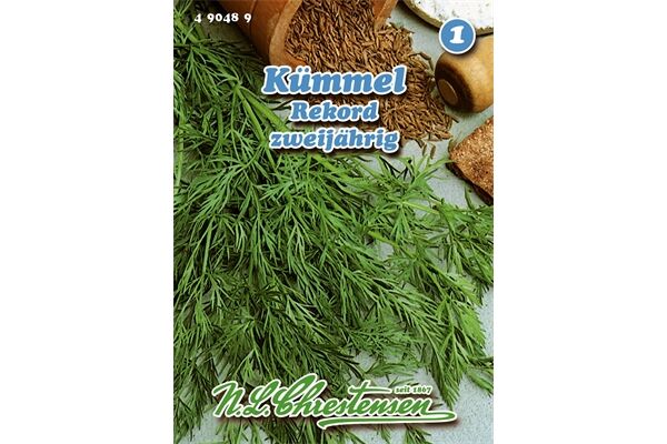  Saatgut Kümmel Rekord Gewürzkraut zweijährig,