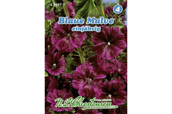  Saatgut Blaue Malve einjährig für ca. 80 Pflanzen