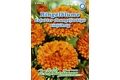  Saatgut Ringelblume Erfurter Orangefarbige,