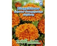 Saatgut Ringelblume Erfurter Orangefarbige, injährig, für ca. 80 Pflanzen