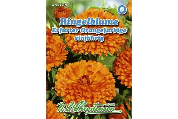  Saatgut Ringelblume Erfurter Orangefarbige,