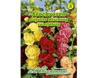 Saatgut Stockrosen gefüllte Mischung starkwachsend und dekorativ, für ca. 25 Pflanzen