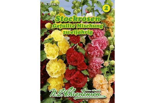  Saatgut Stockrosen gefüllte Mischung starkwachsend