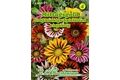  Saatgut Gazania-Hybrid, Großblumig,