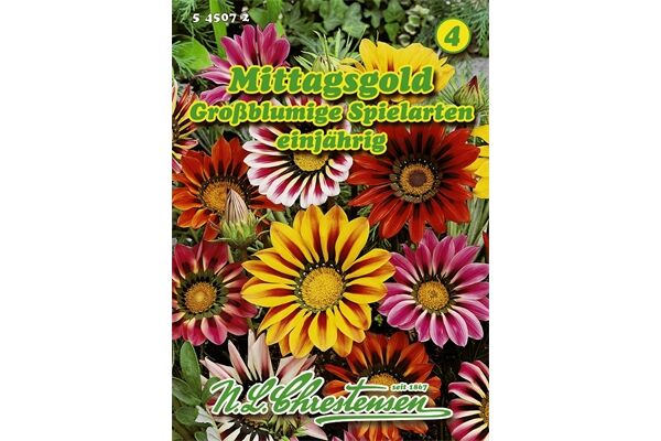  Saatgut Gazania-Hybrid, Großblumig,