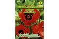  Saatgut Türkischer Riesenmohn Brillant