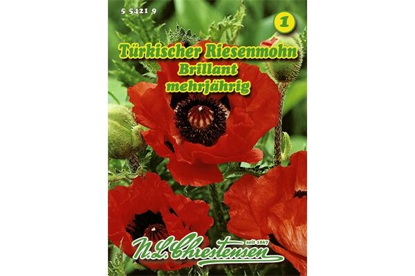  Saatgut Türkischer Riesenmohn Brillant