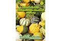  Cucurbita, Zierkürbis, Kleinfrüchtige Mischung