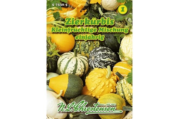  Cucurbita, Zierkürbis, Kleinfrüchtige Mischung