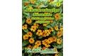  Saatgut Thunbergia Alata, Schwarzäugige Susanne