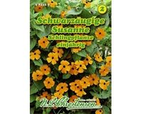 Saatgut Thunbergia Alata, Schwarzäugige Susanne für ca. 12 - 15 Pflanzen