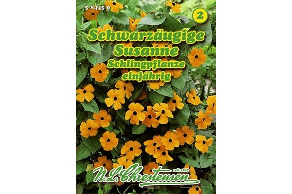  Saatgut Thunbergia Alata, Schwarzäugige Susanne