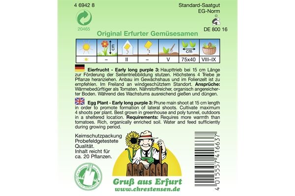  Saatgut Aubergine Early, Long Purple 3,