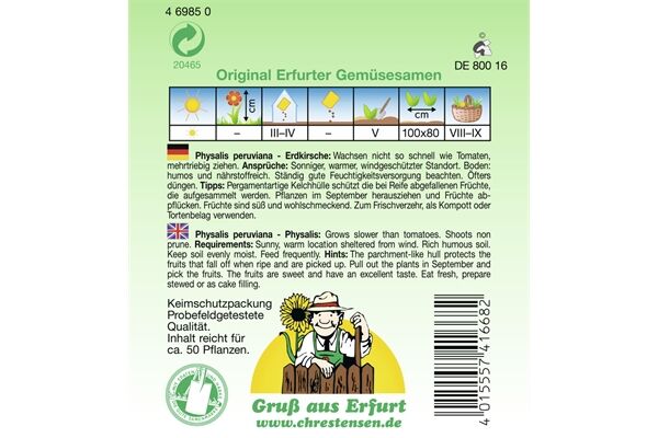  Saatgut Andenbeere Erdkirsche