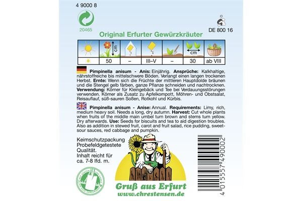  Saatgut Anis Gewürzkraut einjährig für