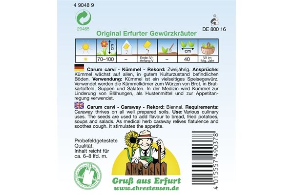  Saatgut Kümmel Rekord Gewürzkraut zweijährig,