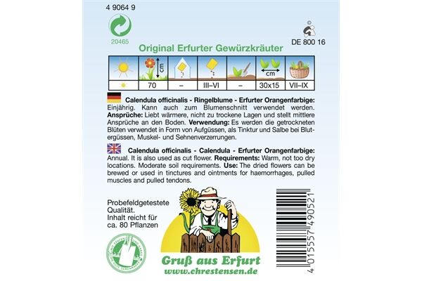  Saatgut Ringelblume Erfurter Orangefarbige,