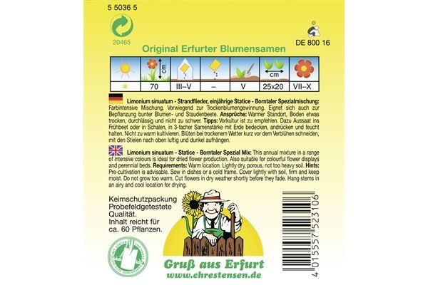  Saatgut Strandflieder Borntaler Spezialmischung,