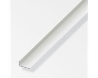 PVC Winkel Ungleichschenklig 20x10x1 mm 2 m (weiß)