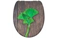  WC-Sitz, Duroplast, Absenkautomatik, Gingko&Wood