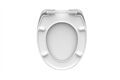  WC-Sitz, Duroplast, Absenkautomatik, Gingko&Wood