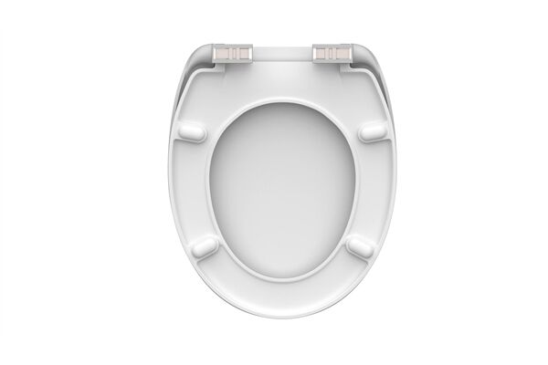  WC-Sitz, Duroplast, Absenkautomatik, Gingko&Wood