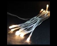 Lichterkette, 20 LEDs, WW, 3 m