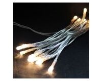 Lichterkette, 20 LEDs, WW, 3 m