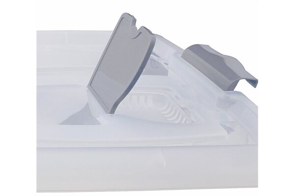  Box mit Deckel, PP, 29x62x45 cm, 60 L