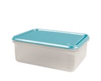 BERIN Frischhaltedose, PP, 17,5x23x8,6 cm, 2 L