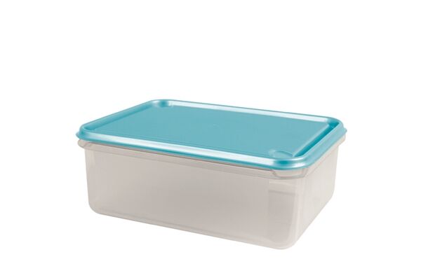  BERIN Frischhaltedose, PP, 17,5x23x8,6 cm, 2 L