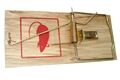  Holz-Rattenfalle mit Holzwippe