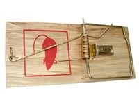Holz-Rattenfalle mit Holzwippe