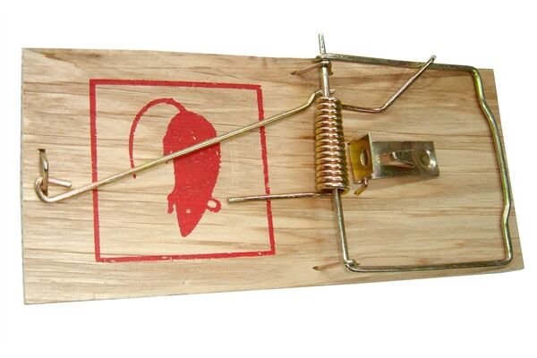  Holz-Rattenfalle mit Holzwippe