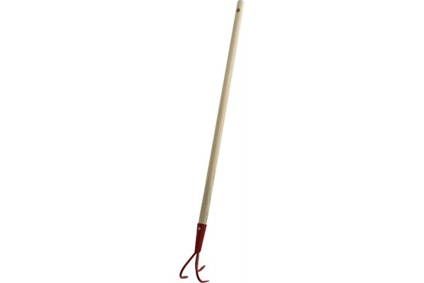 FLOR59603.jpg