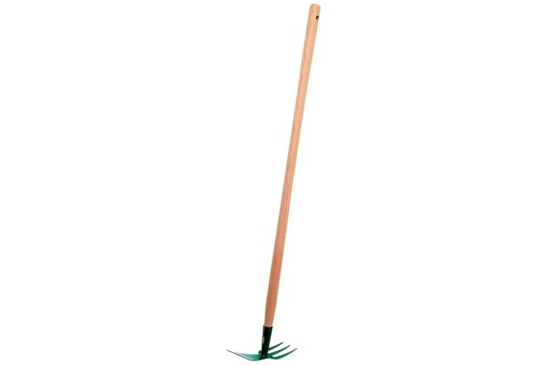flor59753.jpg