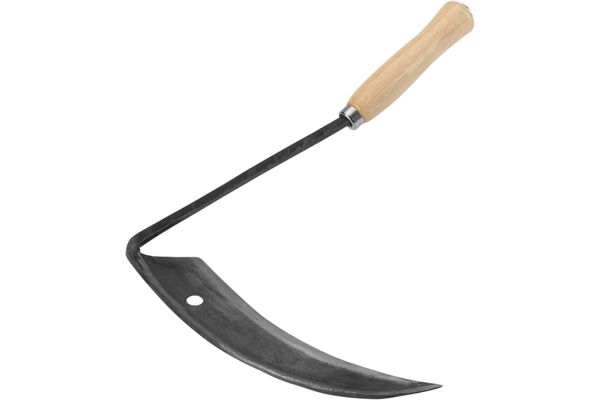 WU9741000.jpg