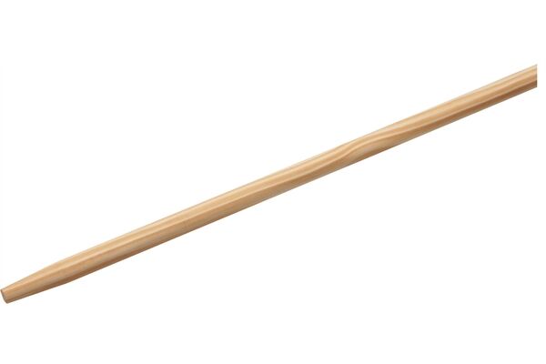 WU9951570.jpg