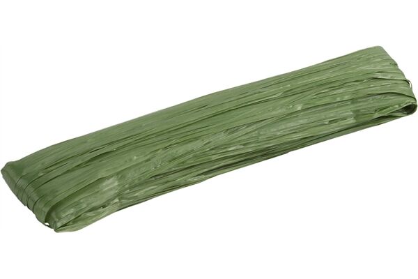 WU9968200.jpg
