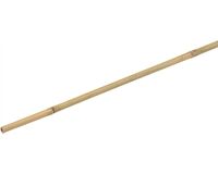 Bambus Stab, 180 cm